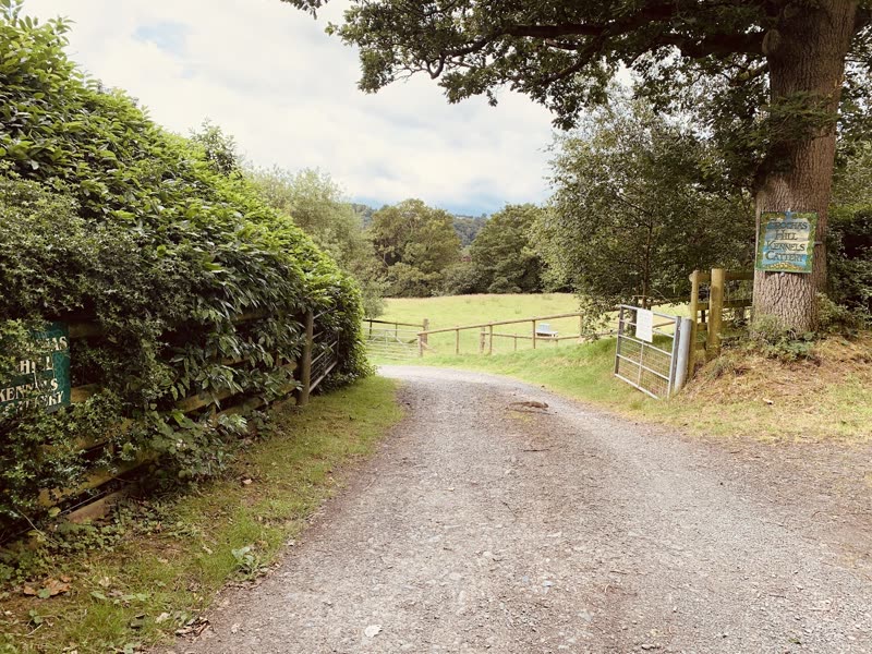 The gravel entrance lane to Frochas Hill Kennels, curving between a tall hedge and a fenced green field