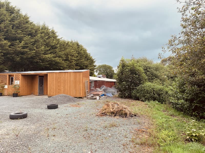 The timber-clad kennel block seen across the gravel yard, backed by a conifer hedge