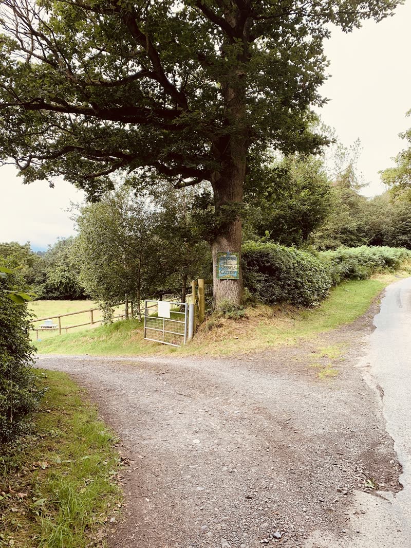 The driveway entrance seen from the road, framed by a large mature oak tree